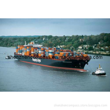 Shipping & Sea Freight From Shenzhen/Ningbo/Shanghai/Foshan/Guangzhou to Jeddah&Riyadh/Dammam Saudi Arabia